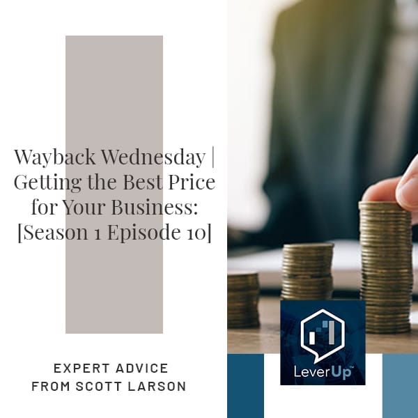 LeverUp™️: A podcast on Private Equity and Entrepreneurship - Paul Swaney | Scott Larson | Business Exit