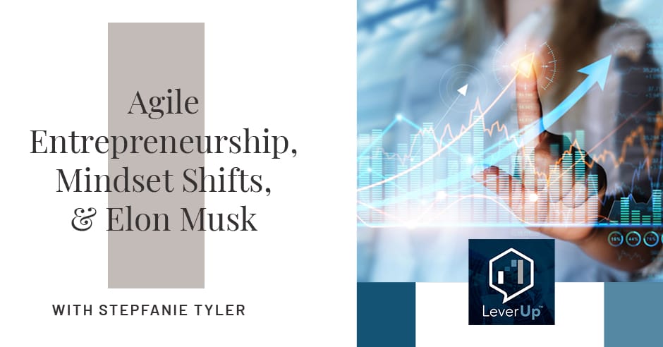 LeverUp™️: A podcast on Private Equity and Entrepreneurship - Paul Swaney | Stepfanie Tyler | Agile Entrepreneurship